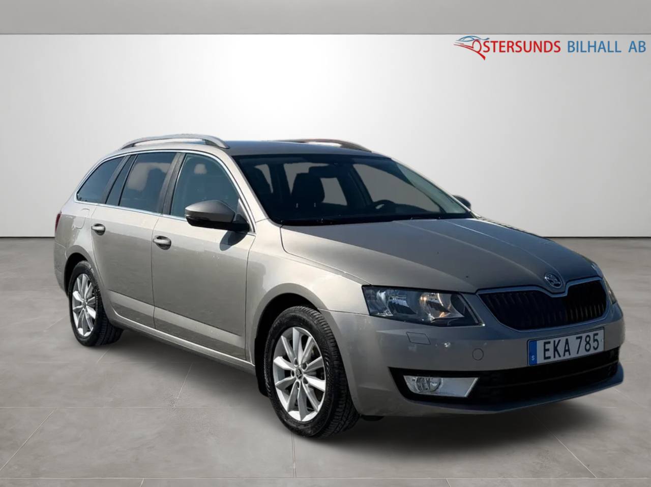 Skoda Octavia Kombi 1.6 TDI 4x4 Ambition Euro 5 M&D-värm Drag 1 brukare