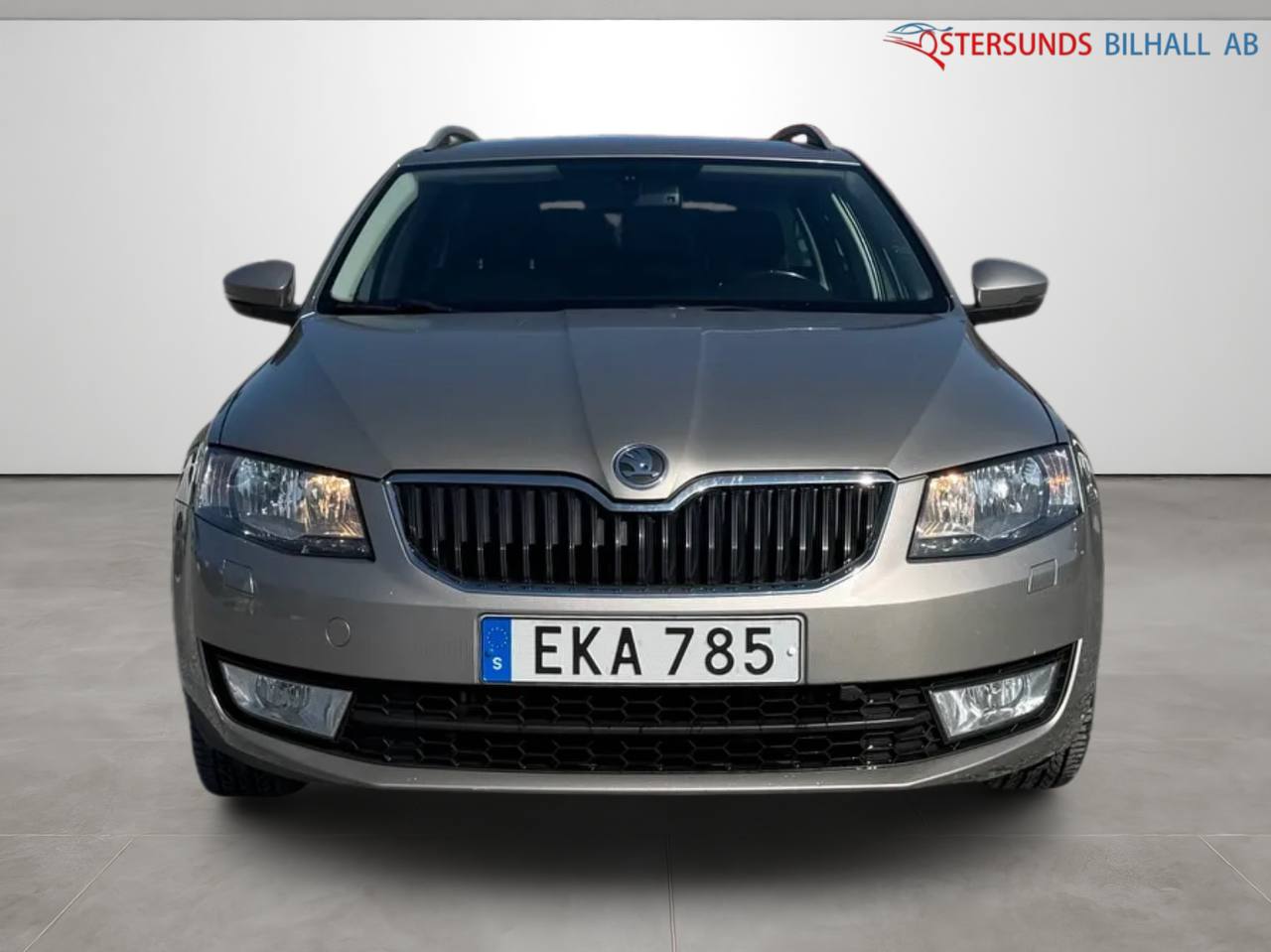 Skoda Octavia Kombi 1.6 TDI 4x4 Ambition Euro 5 M&D-värm Drag 1 brukare
